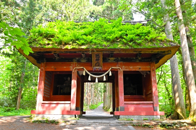 戸隠神社奥社の朱色の随神門