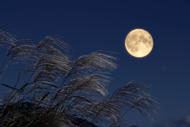 夜長をイメージした中秋の名月の画像