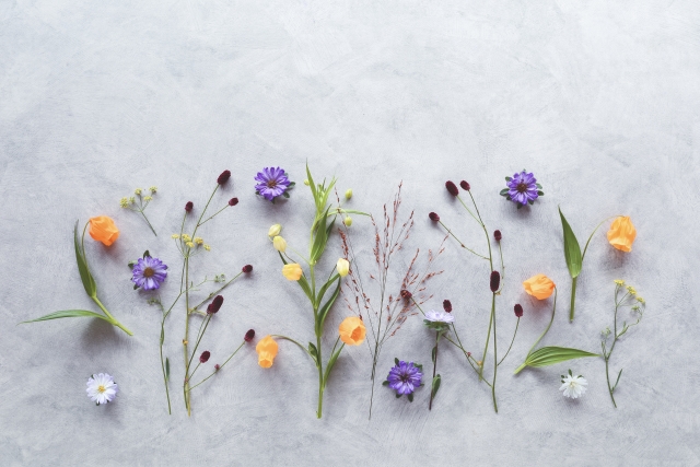 色とりどりの草花がHSEの性格を表している